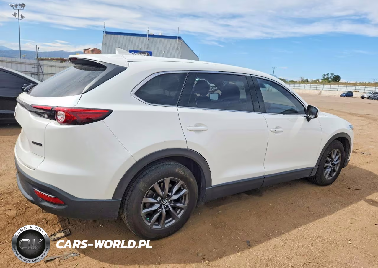 2021 Mazda Cx-9 Touring VIN:JM3TCBCY6M0541326 - 3
