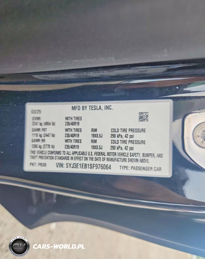 2025 Tesla Model 3 VIN:5YJ3E1EB1SF976064 - 12
