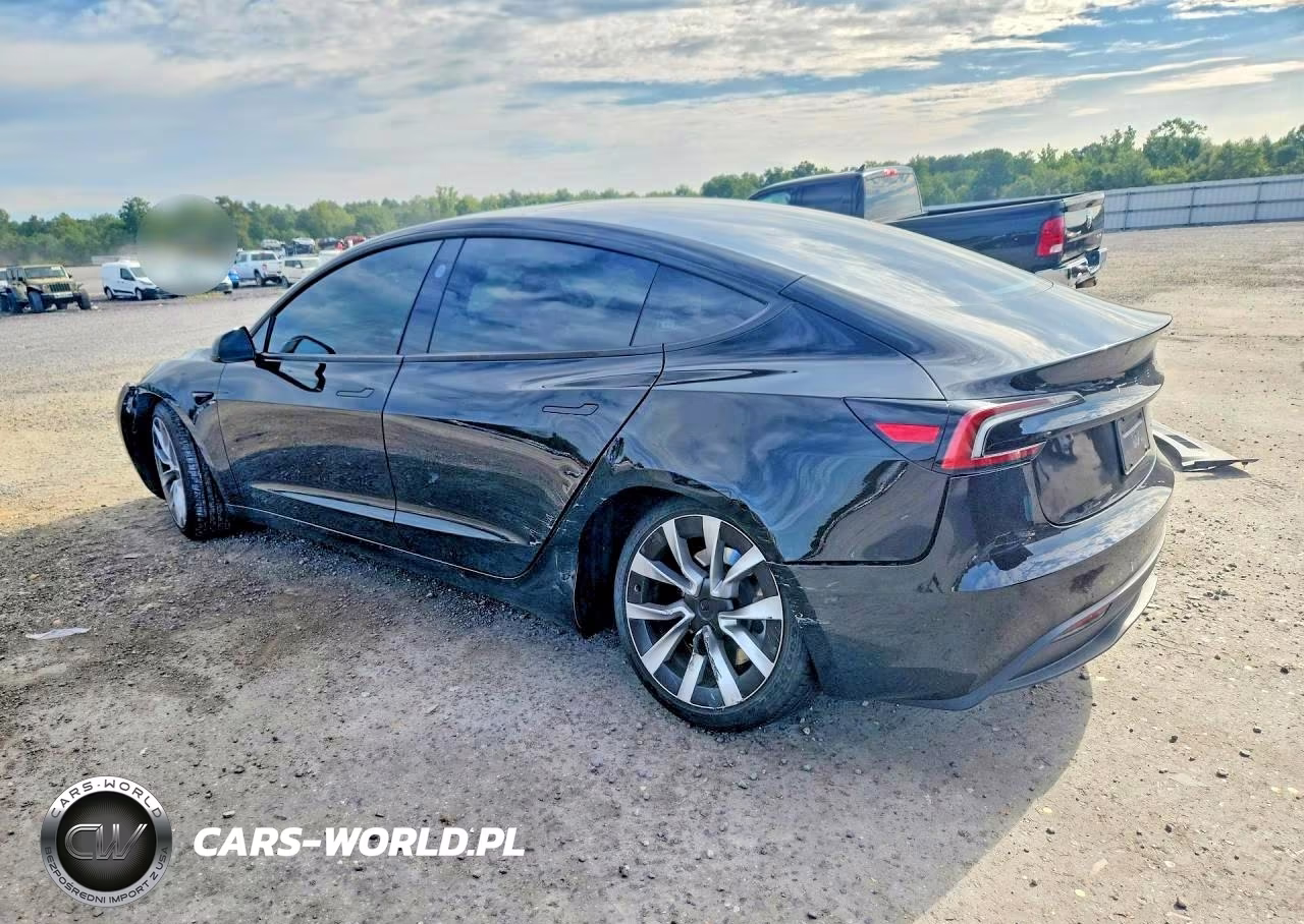 2025 Tesla Model 3 VIN:5YJ3E1EB1SF976064 - 2