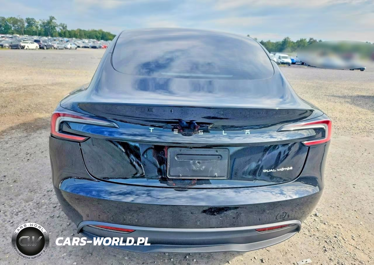 2025 Tesla Model 3 VIN:5YJ3E1EB1SF976064 - 6