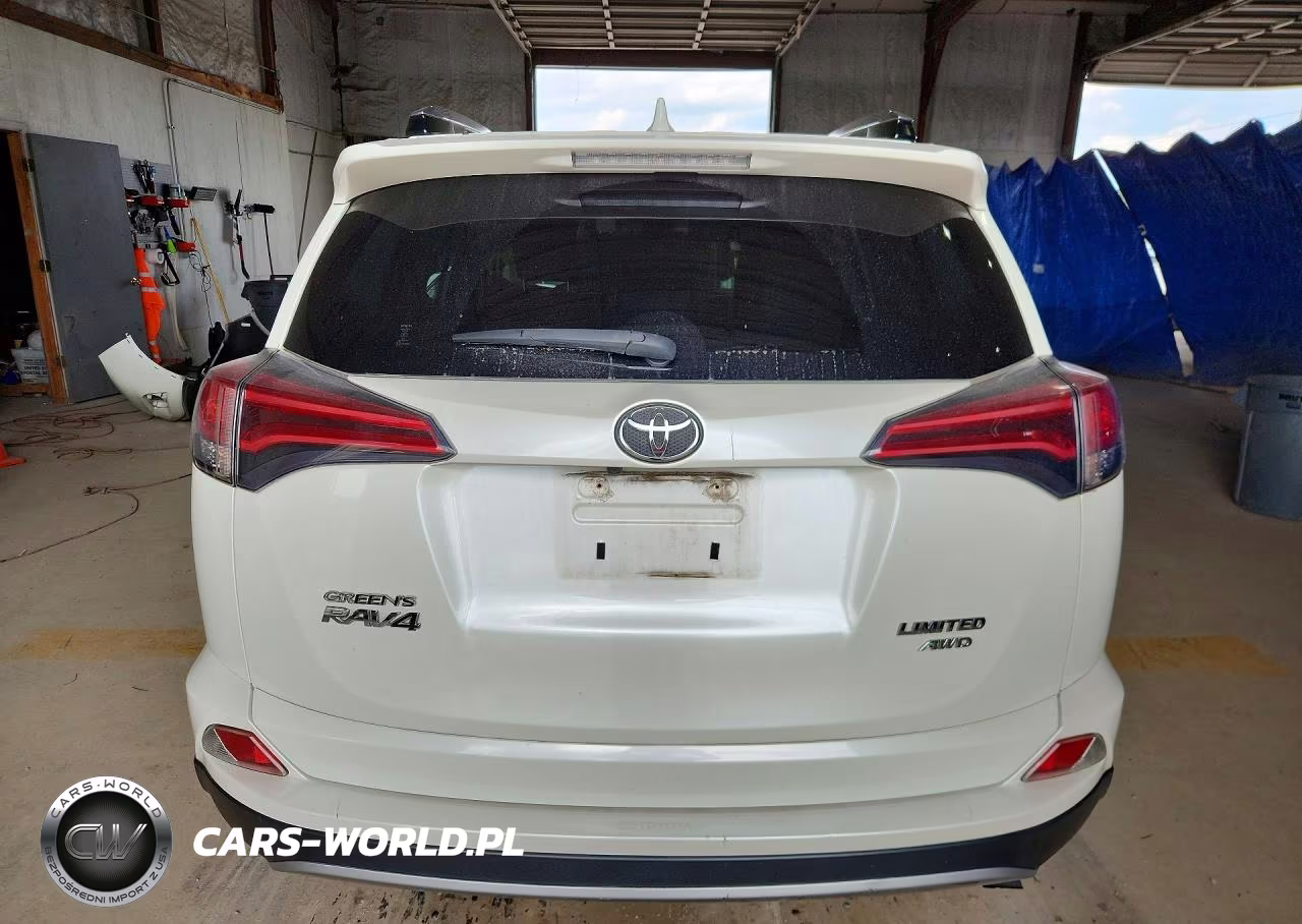 2017 Toyota Rav4 Limited VIN:JTMDFREVXHJ709596 - 6