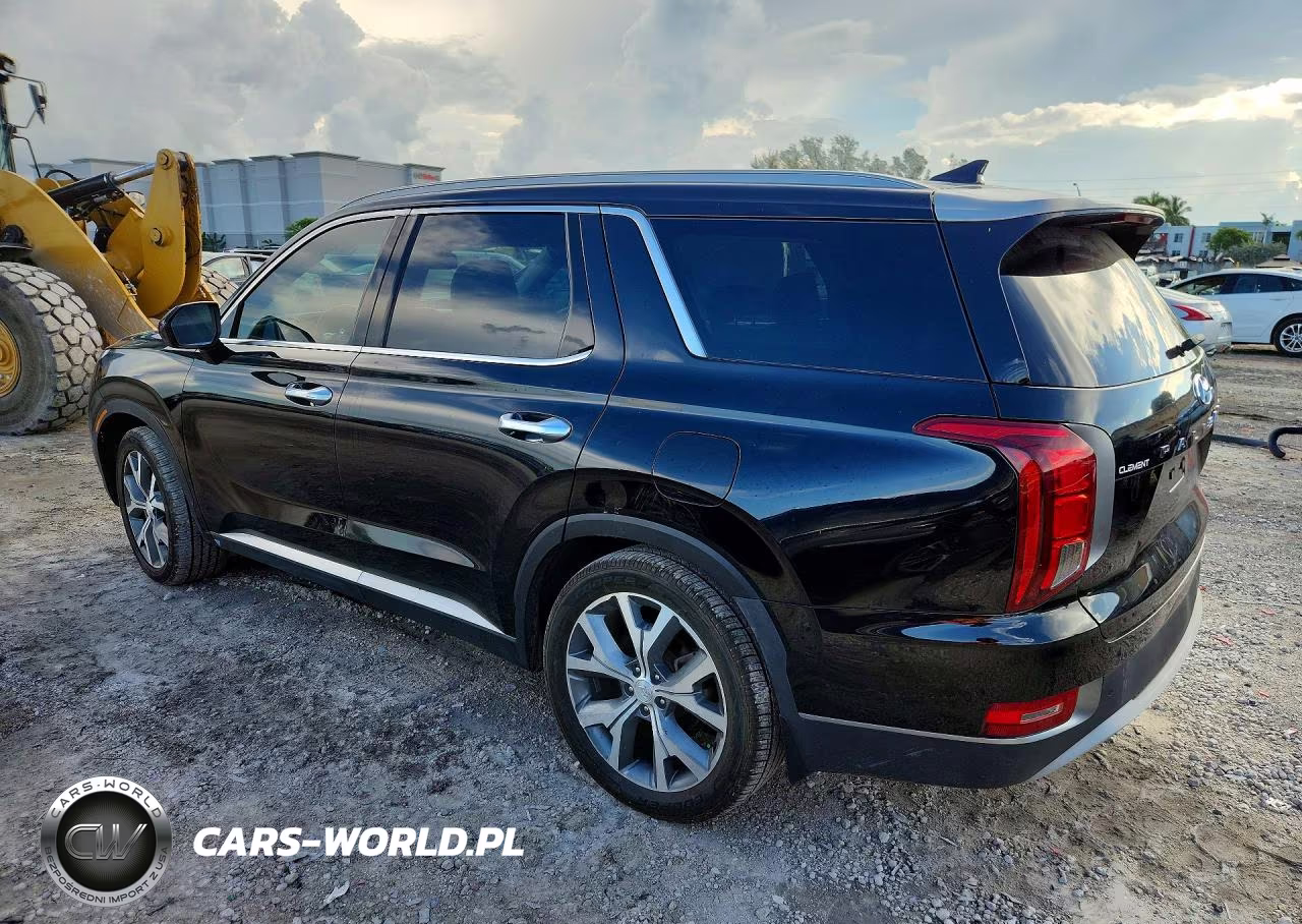 2020 Hyundai Palisade Sel VIN:KM8R44HE8LU030438 - 2
