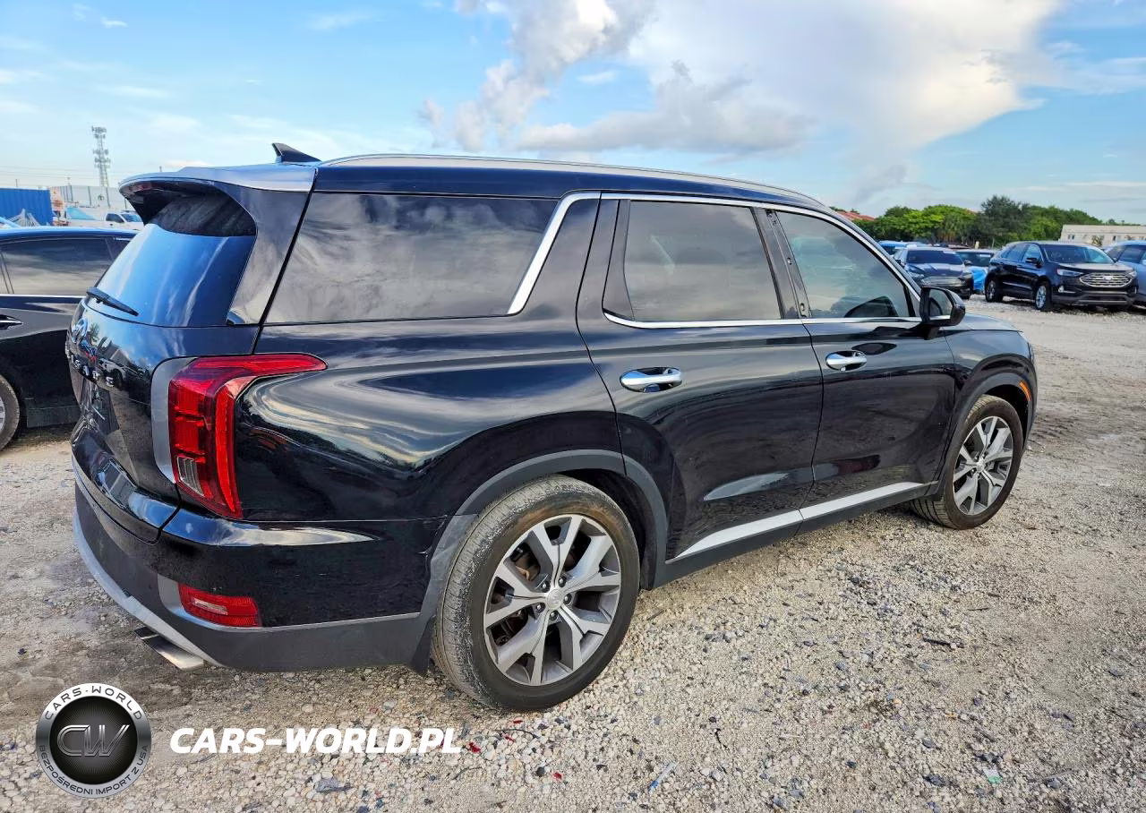 2020 Hyundai Palisade Sel VIN:KM8R44HE8LU030438 - 3