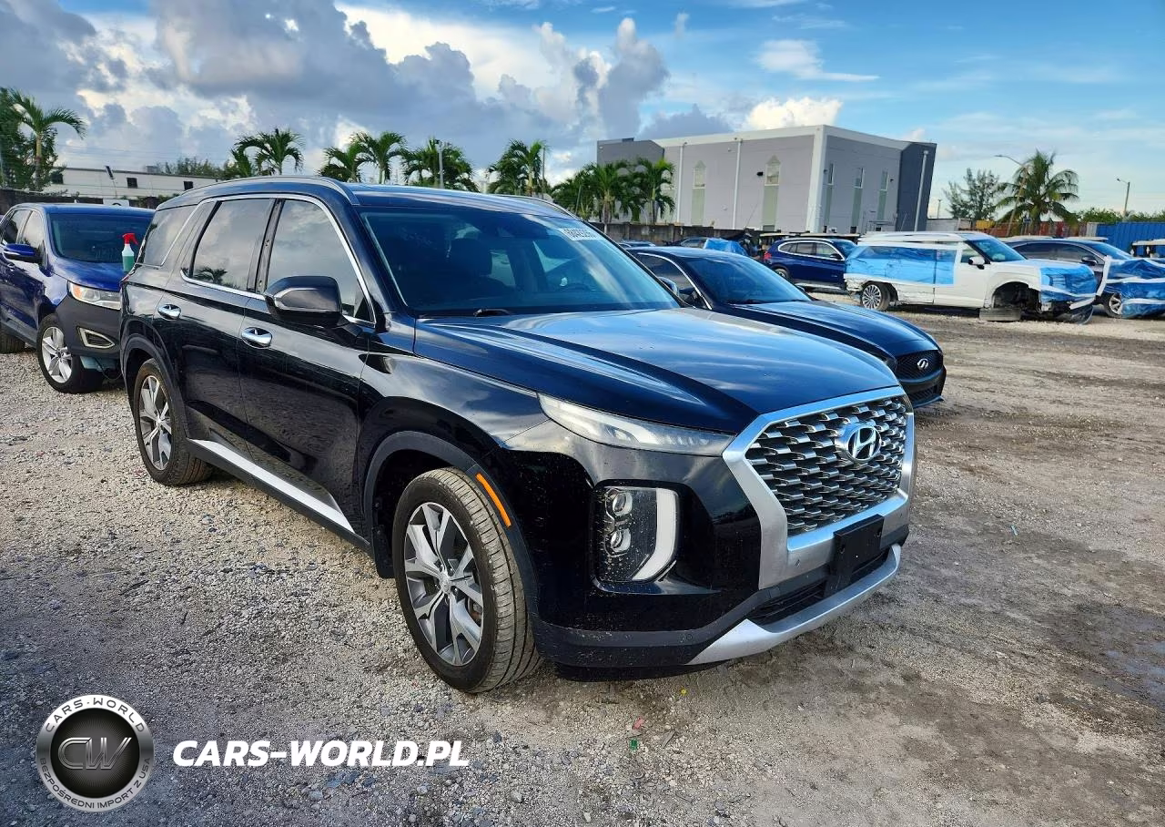 2020 Hyundai Palisade Sel VIN:KM8R44HE8LU030438 - 4