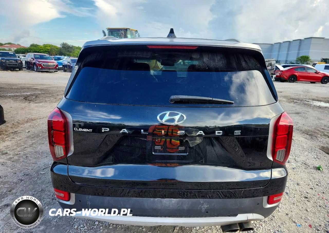 2020 Hyundai Palisade Sel VIN:KM8R44HE8LU030438 - 6