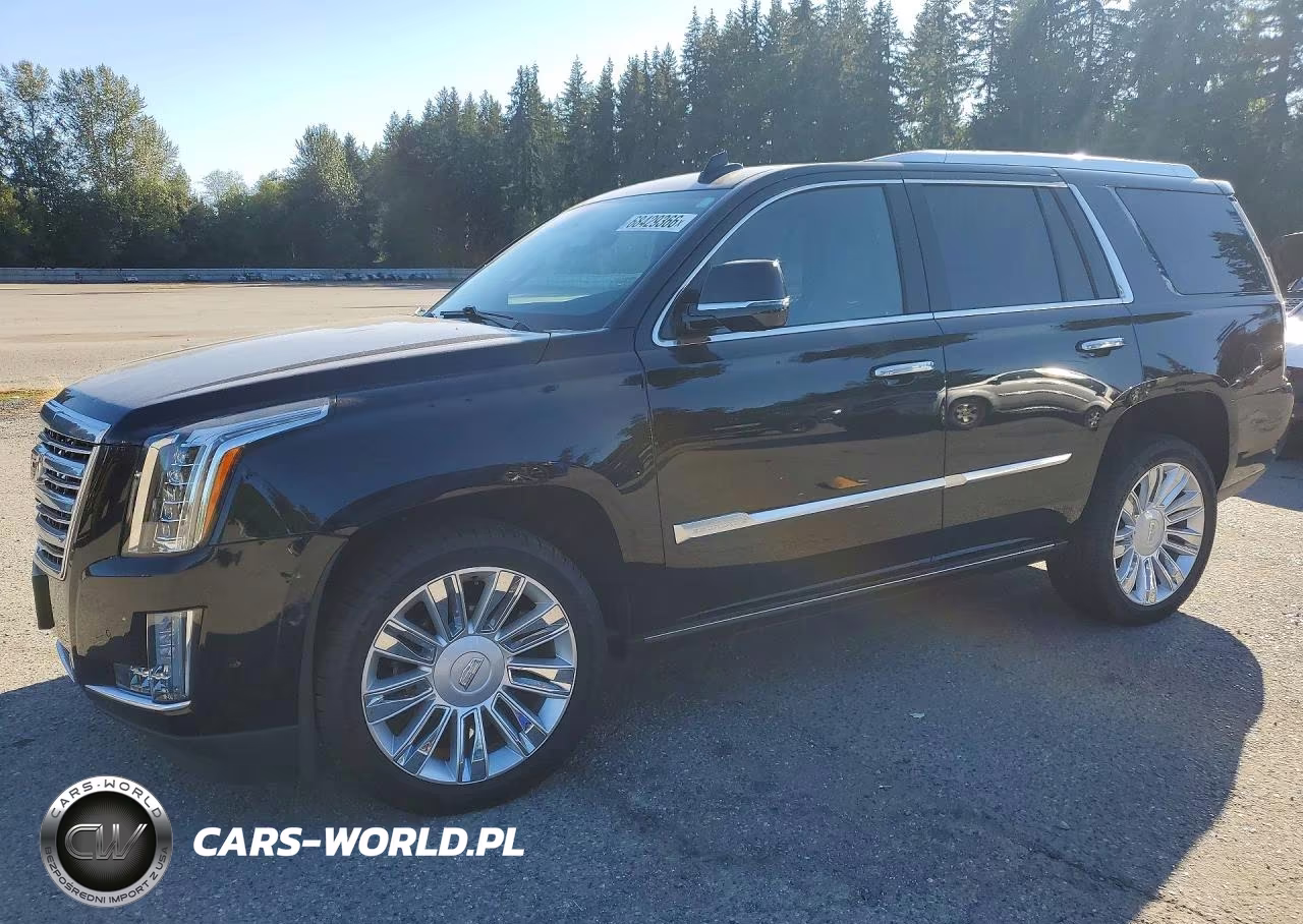 2020 Cadillac Escalade Platinum VIN:1GYS4DKJ0LR261276 - 1