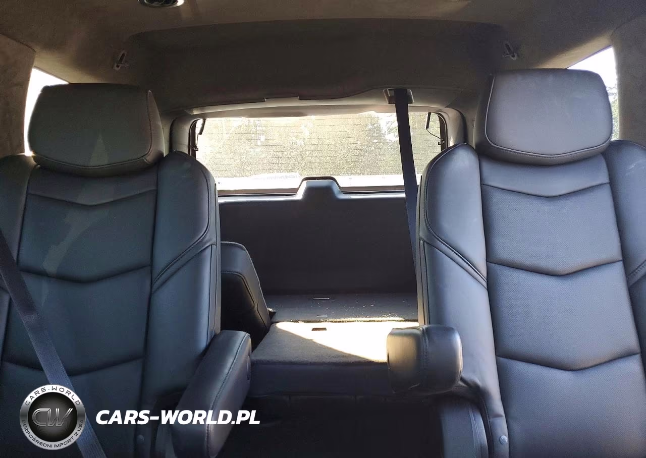 2020 Cadillac Escalade Platinum VIN:1GYS4DKJ0LR261276 - 10