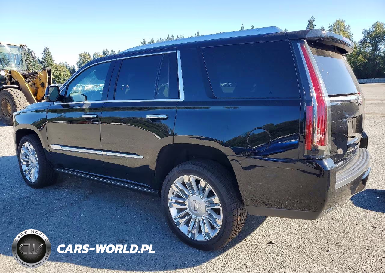2020 Cadillac Escalade Platinum VIN:1GYS4DKJ0LR261276 - 2