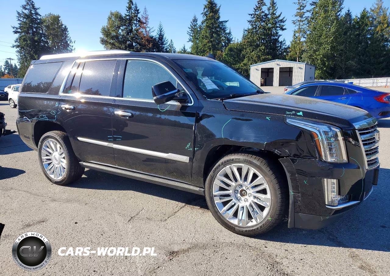 2020 Cadillac Escalade Platinum VIN:1GYS4DKJ0LR261276 - 4