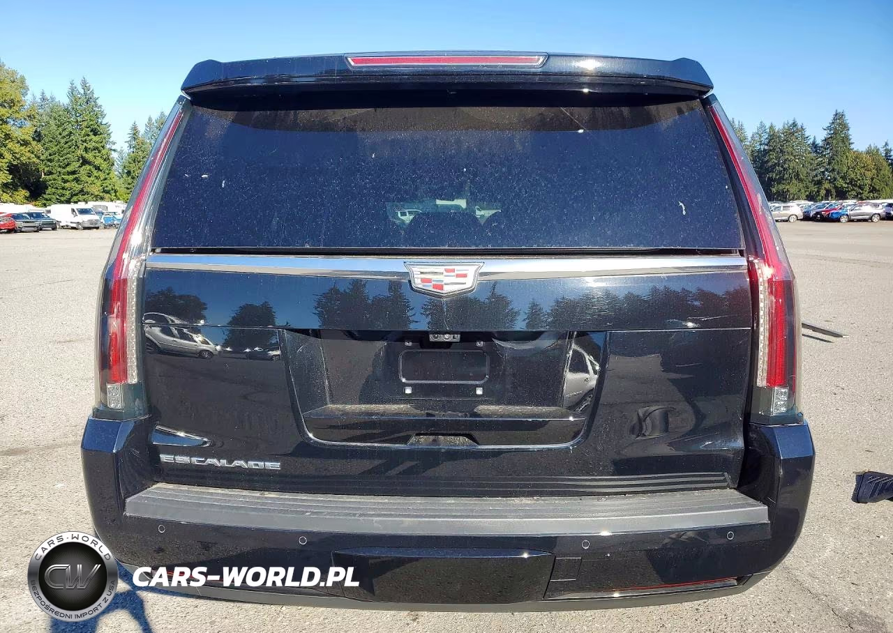 2020 Cadillac Escalade Platinum VIN:1GYS4DKJ0LR261276 - 6