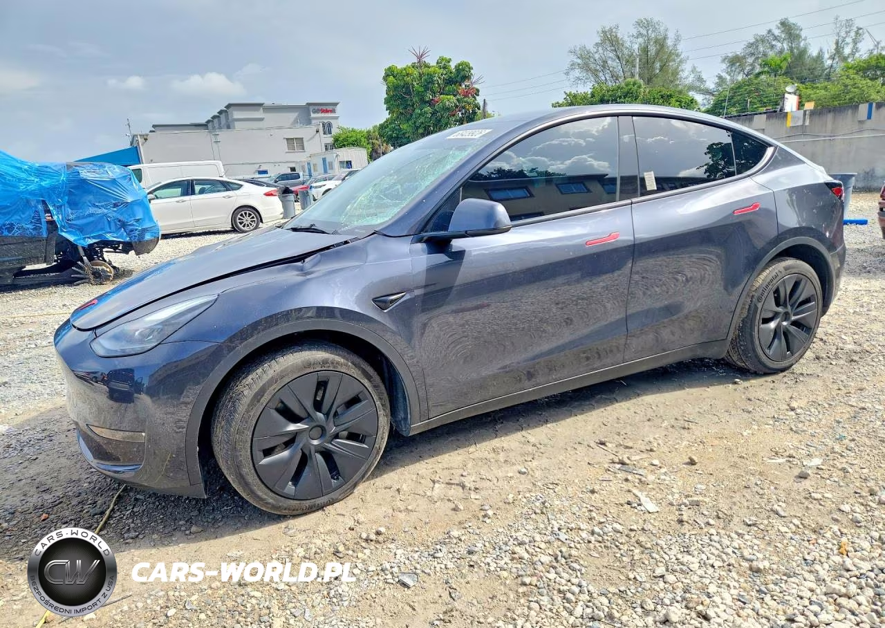 2025 Tesla Model Y VIN:7SAYGDEE0SA351005 - 1