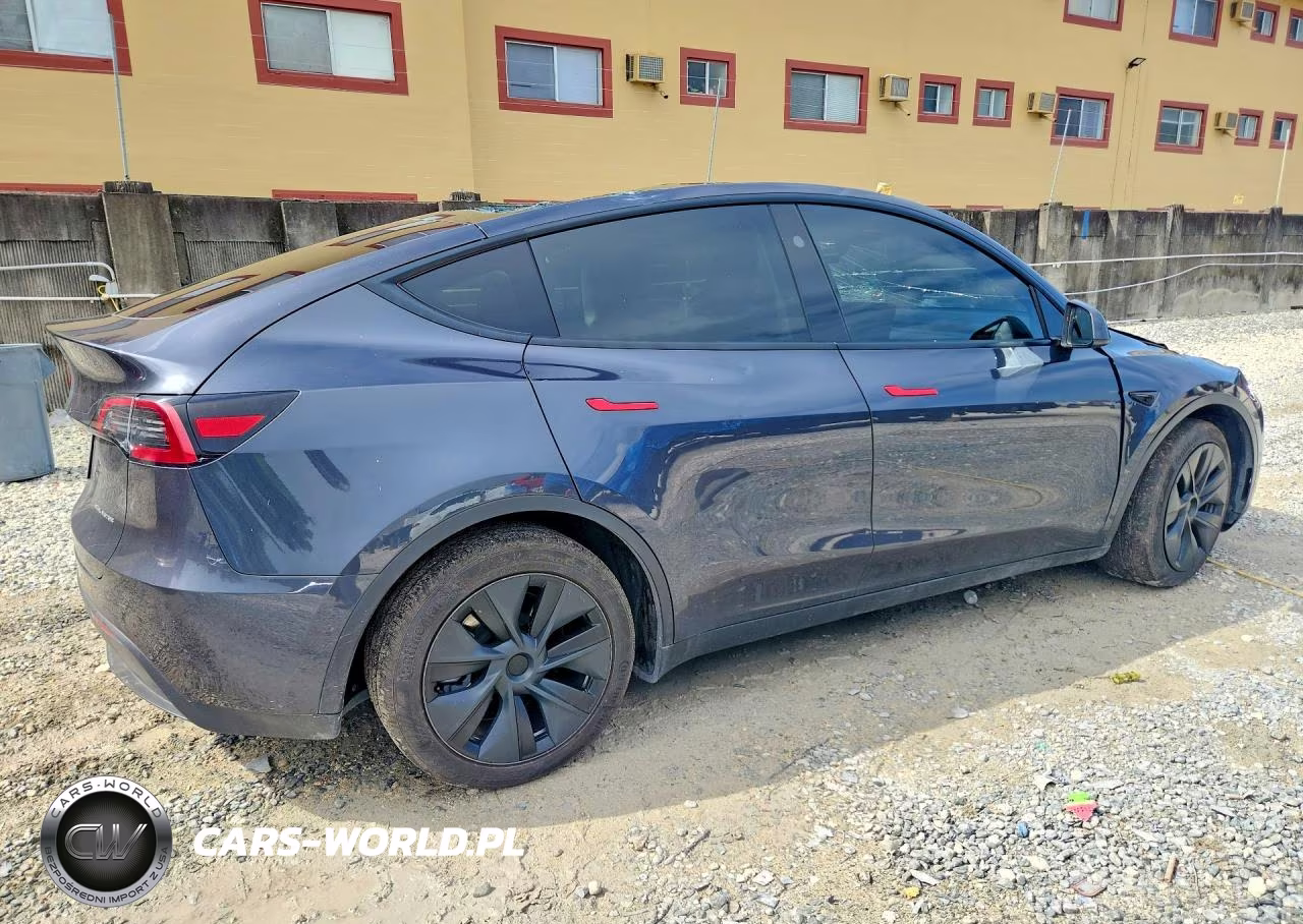 2025 Tesla Model Y VIN:7SAYGDEE0SA351005 - 3
