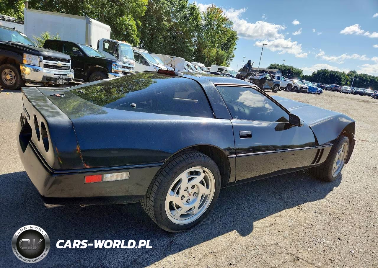 1990 Chevrolet Corvette VIN:1G1YY2385L5100345 - 3