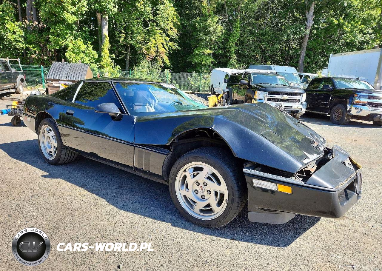 1990 Chevrolet Corvette VIN:1G1YY2385L5100345 - 4