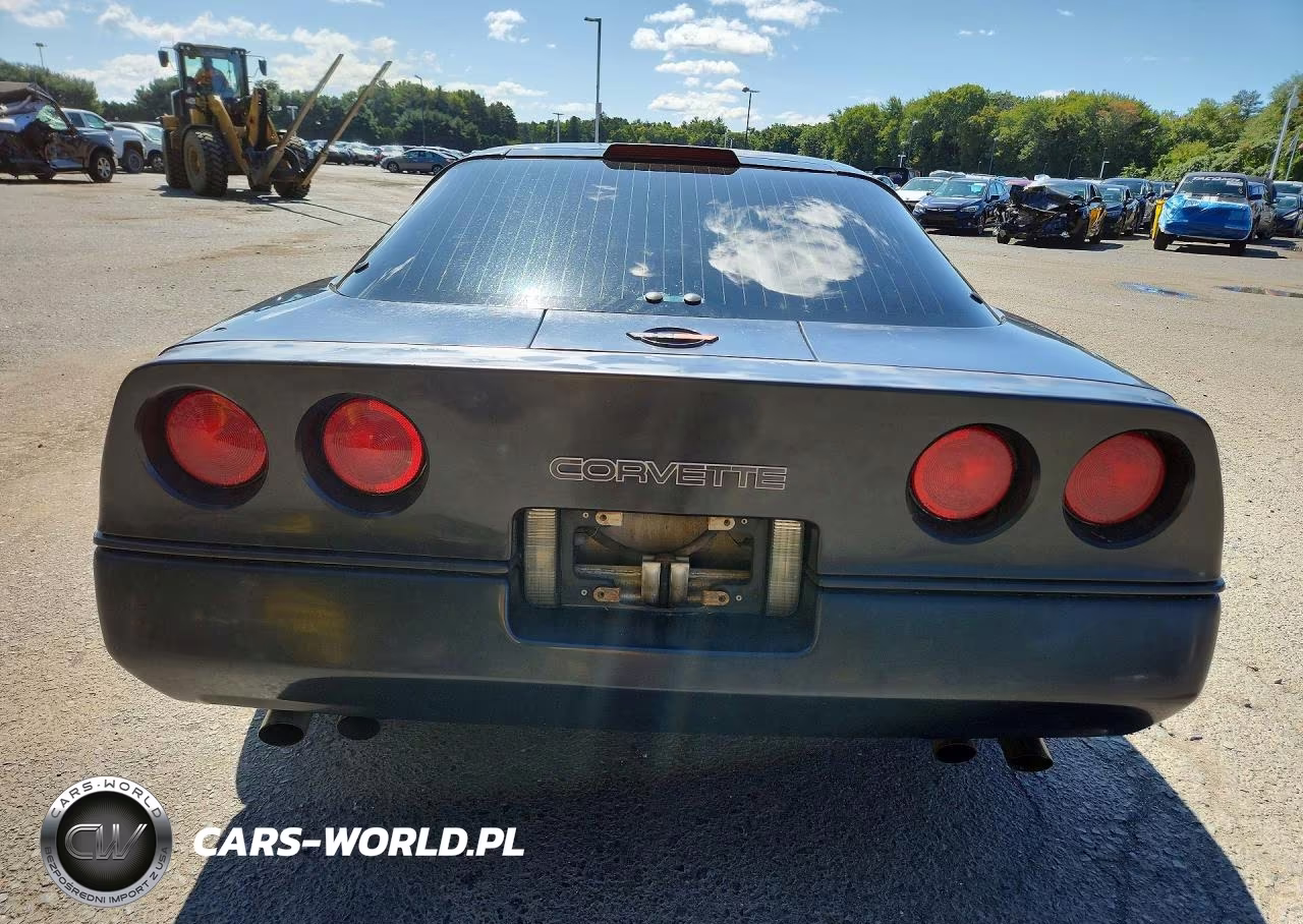 1990 Chevrolet Corvette VIN:1G1YY2385L5100345 - 6
