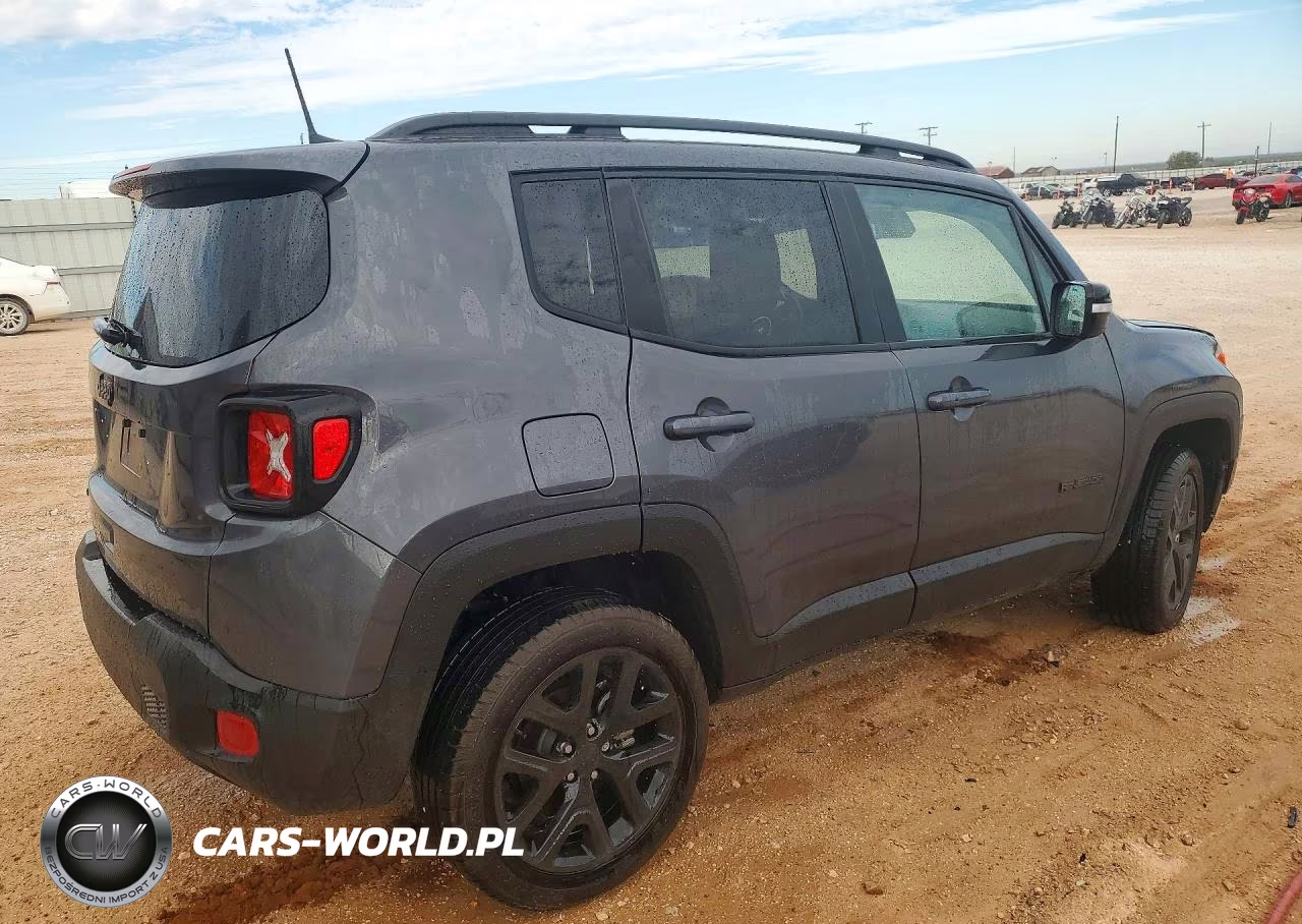 2023 Jeep Renegade Altitude VIN:ZACNJDE10PPP13106 - 3