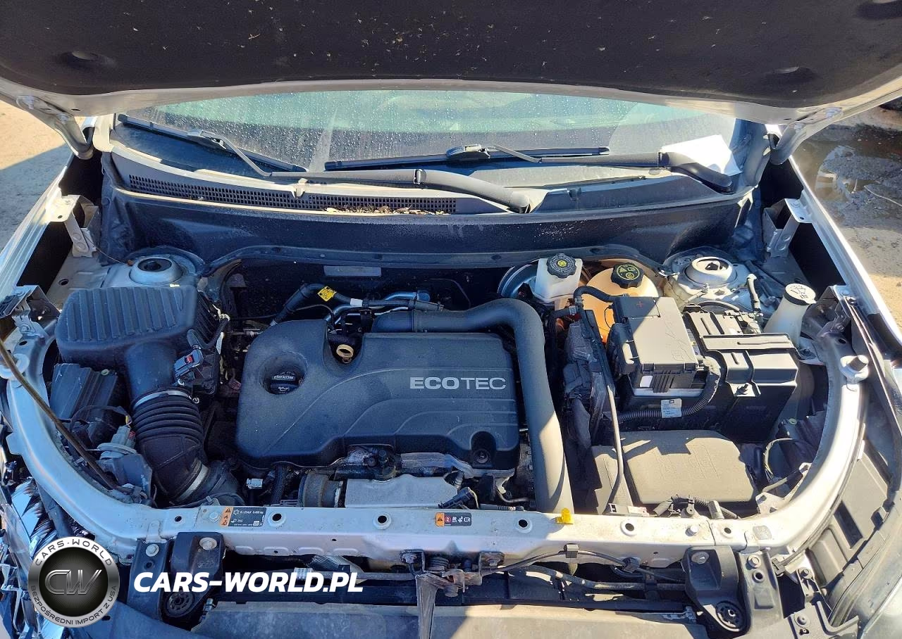 2019 Chevrolet Equinox Lt VIN:2GNAXJEVXK6273555 - 12