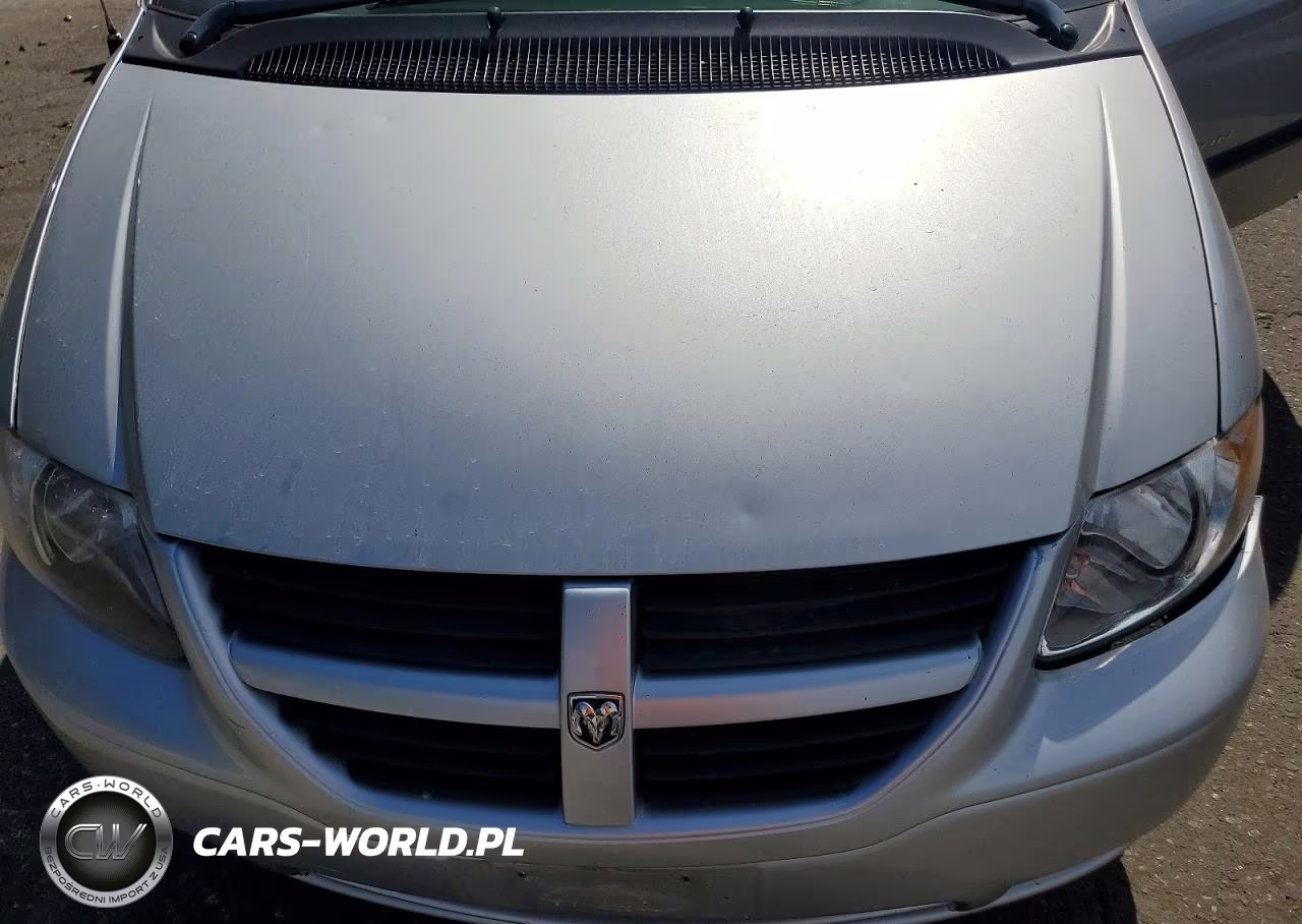 2005 Dodge Grand Caravan Se VIN:1D4GP24R05B138876 - 11