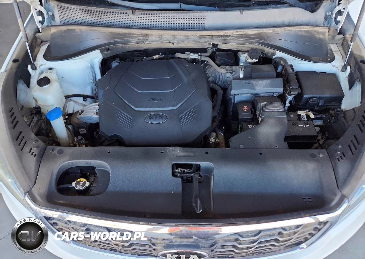 2019 Kia Sorento Lx V6 VIN:5XYPG4A5XKG492321 - 12