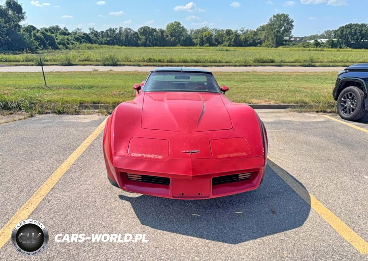 1981 Chevrolet Corvette VIN:1G1AY8767BS429464 - 11