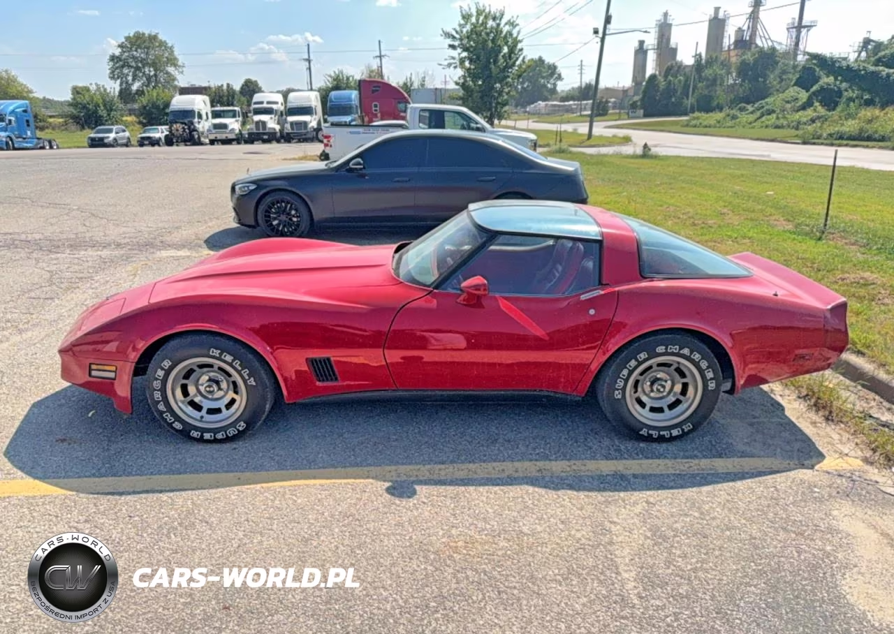 1981 Chevrolet Corvette VIN:1G1AY8767BS429464 - 12