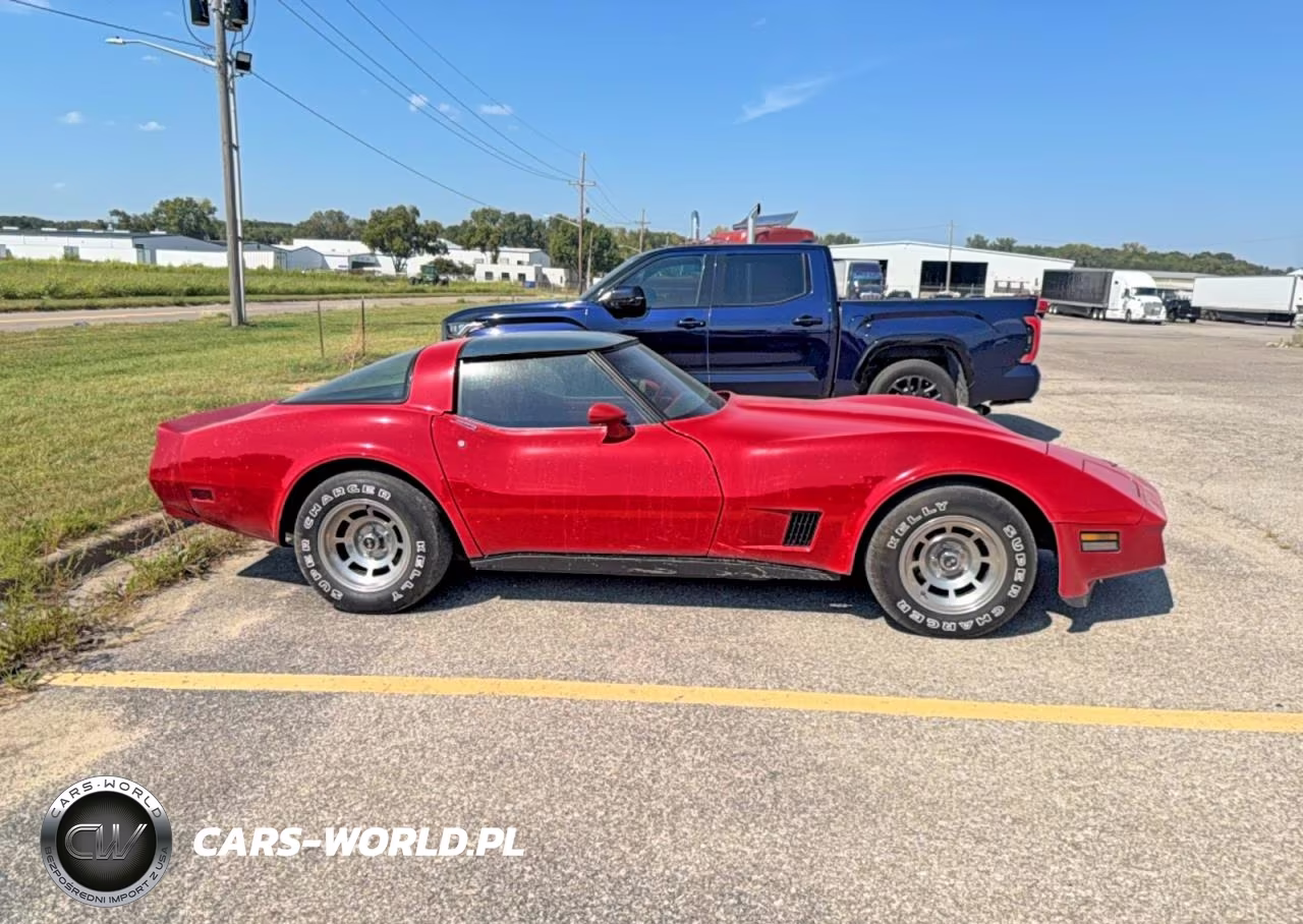 1981 Chevrolet Corvette VIN:1G1AY8767BS429464 - 13
