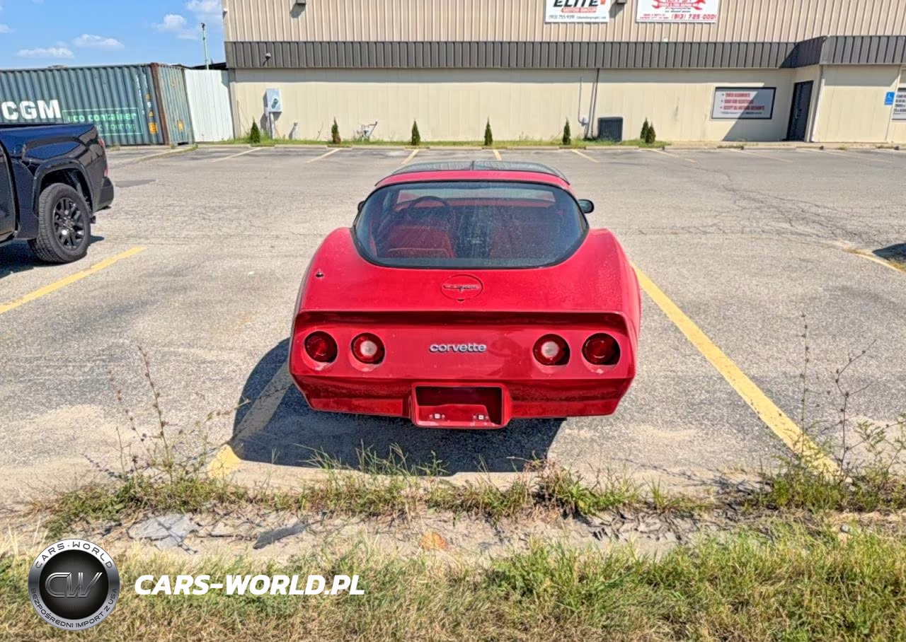 1981 Chevrolet Corvette VIN:1G1AY8767BS429464 - 14
