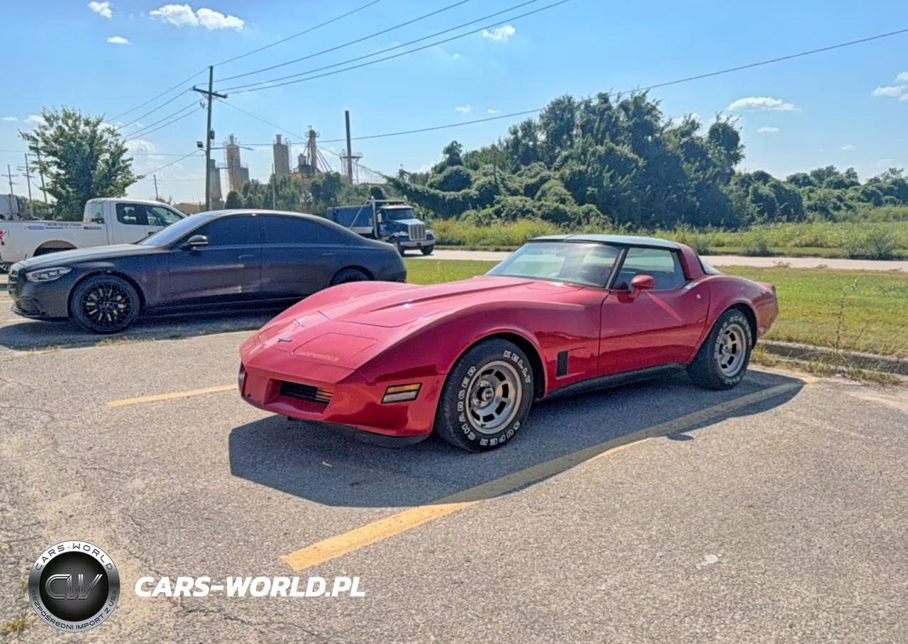 1981 Chevrolet Corvette VIN:1G1AY8767BS429464 - 2