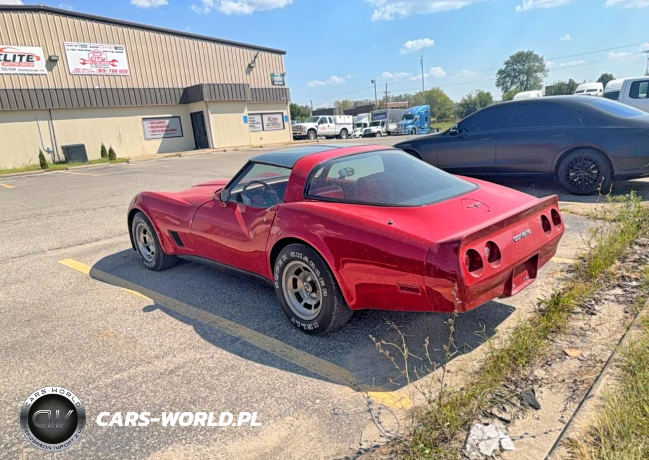 1981 Chevrolet Corvette VIN:1G1AY8767BS429464 - 3