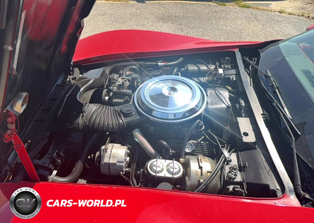 1981 Chevrolet Corvette VIN:1G1AY8767BS429464 - 7