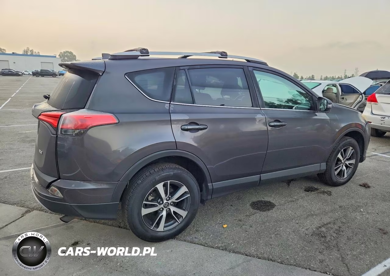 2016 Toyota Rav4 Xle VIN:2T3WFREV2GW240674 - 3