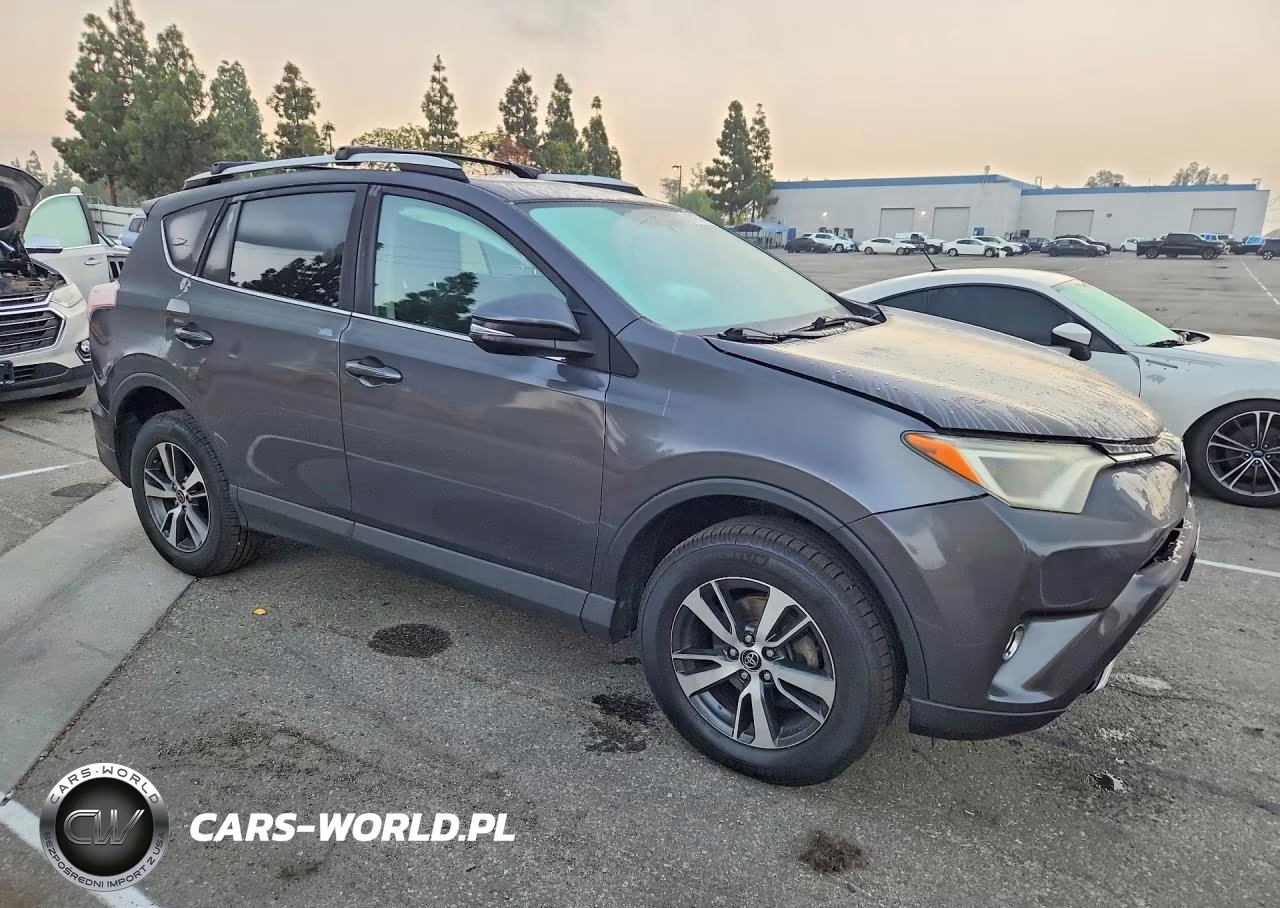 2016 Toyota Rav4 Xle VIN:2T3WFREV2GW240674 - 4