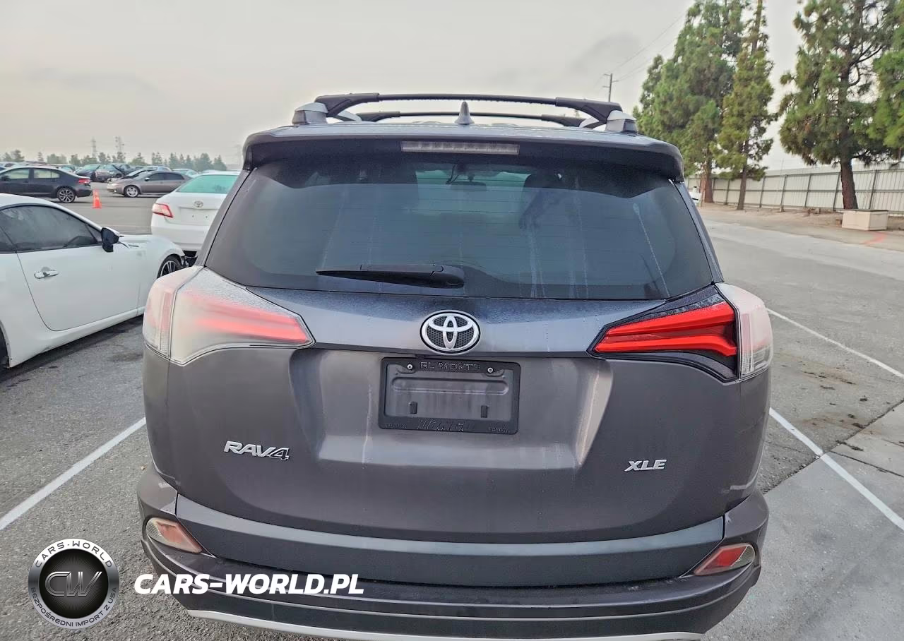 2016 Toyota Rav4 Xle VIN:2T3WFREV2GW240674 - 6