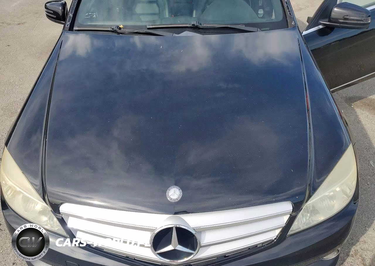 2010 Mercedes-Benz C 300 4Matic VIN:WDDGF8BB9AR095865 - 11