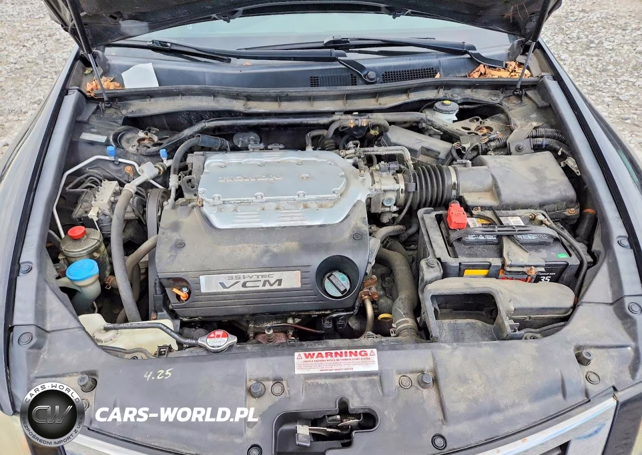 2010 Honda Accord Exl VIN:1HGCP3F88AA029217 - 11