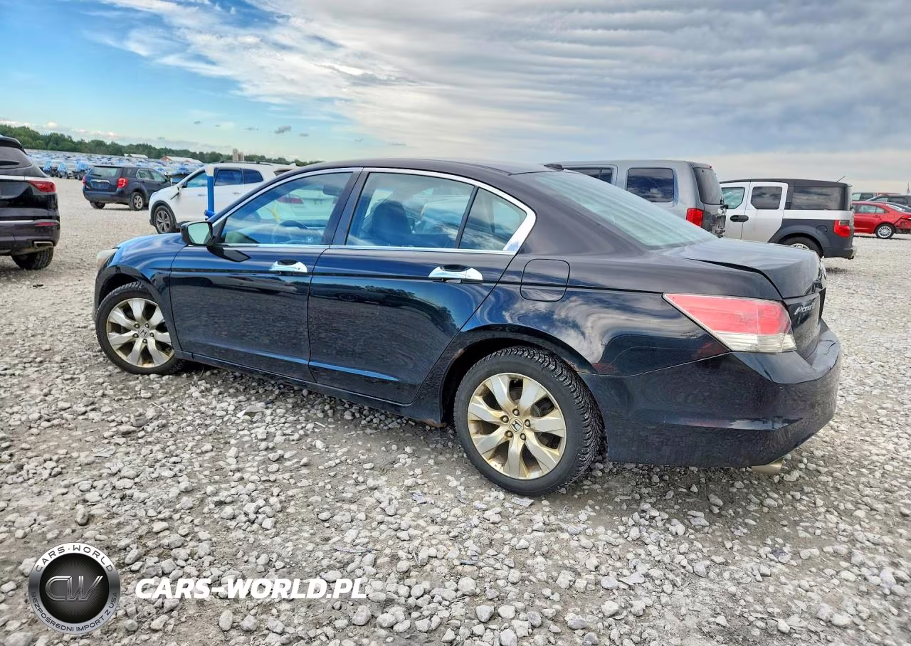 2010 Honda Accord Exl VIN:1HGCP3F88AA029217 - 2