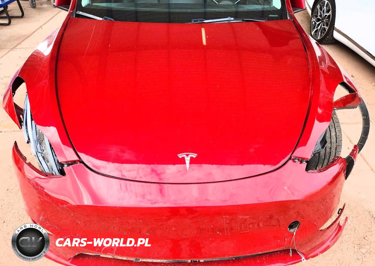 2024 Tesla Model Y VIN:7SAYGDED9RF192392 - 12