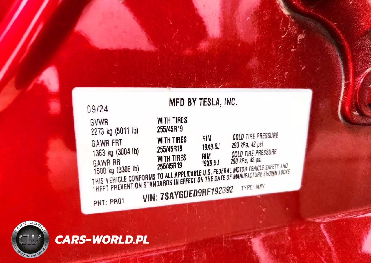 2024 Tesla Model Y VIN:7SAYGDED9RF192392 - 13