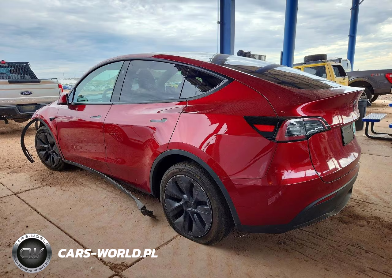 2024 Tesla Model Y VIN:7SAYGDED9RF192392 - 2