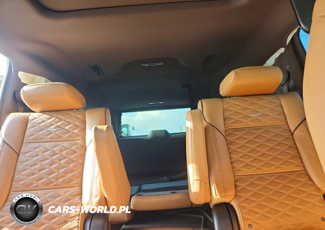 2023 Cadillac Escalade Esv Sport VIN:1GYS4NKT4PR244218 - 10