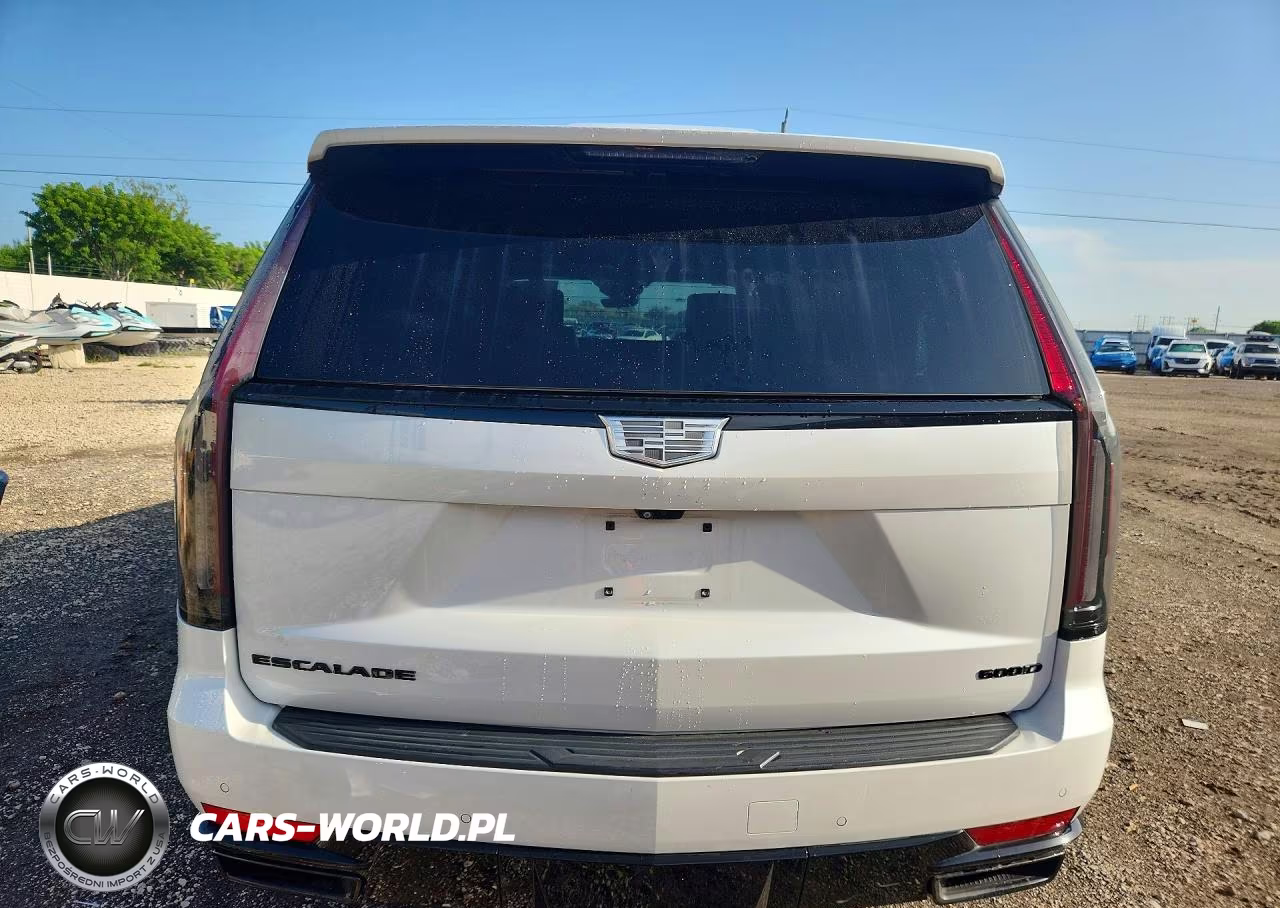 2023 Cadillac Escalade Esv Sport VIN:1GYS4NKT4PR244218 - 6