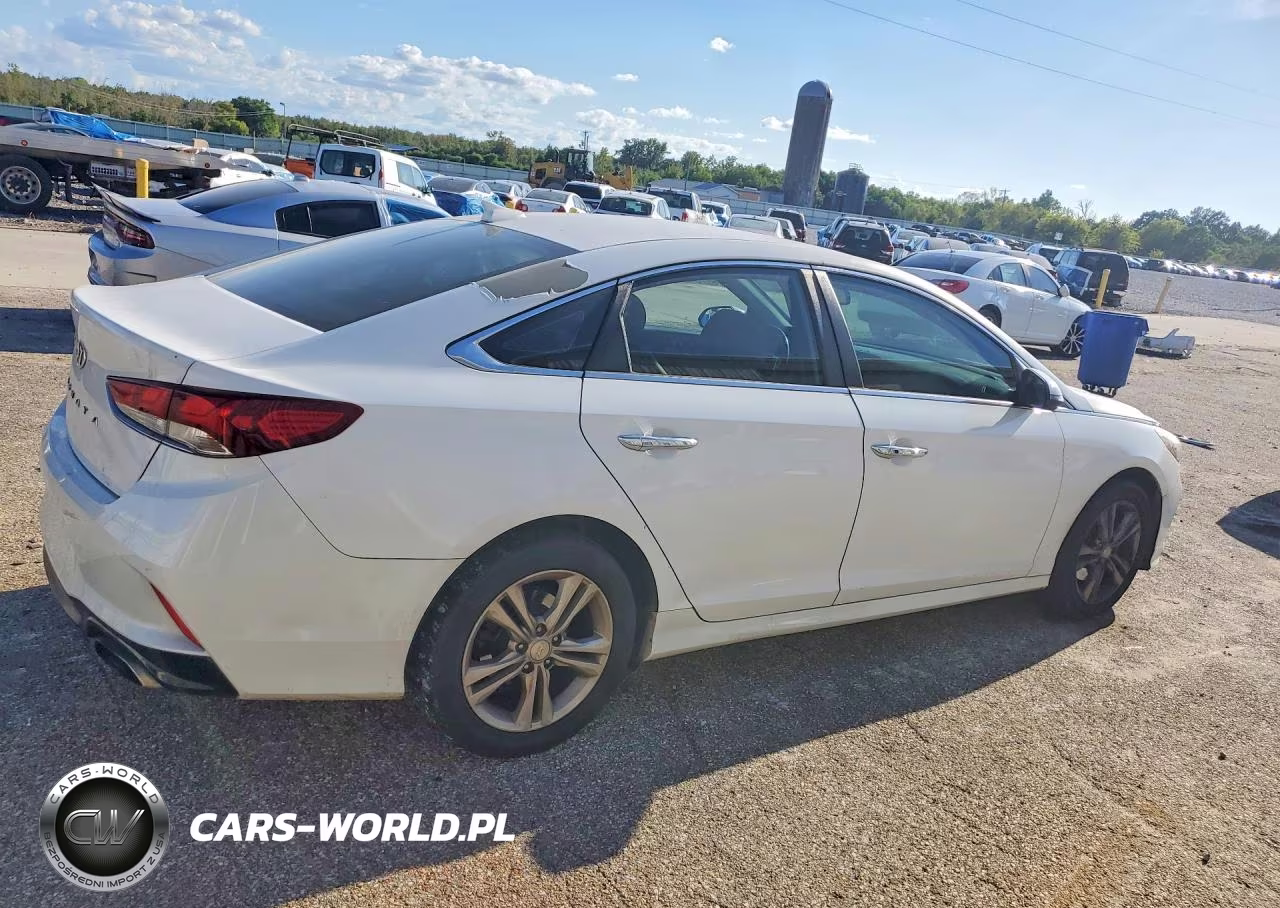 2019 Hyundai Sonata Sel VIN:5NPE34AF7KH787431 - 3