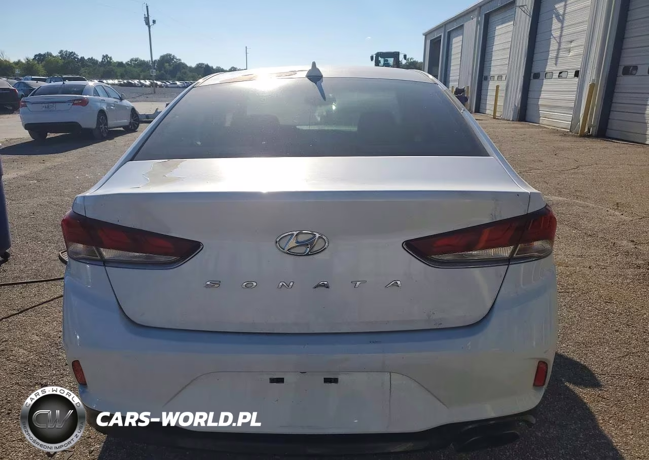 2019 Hyundai Sonata Sel VIN:5NPE34AF7KH787431 - 6