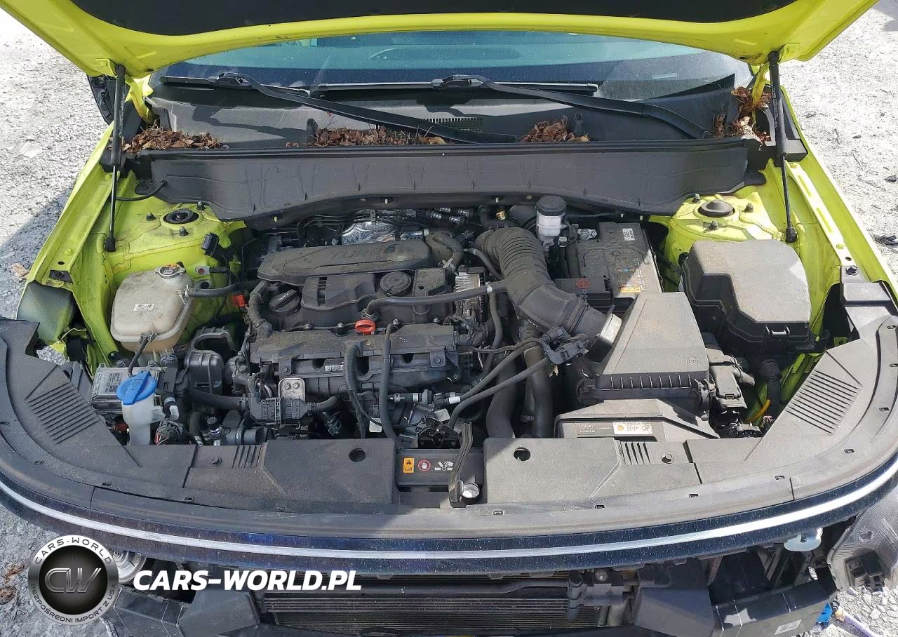 2024 Hyundai Kona Limited VIN:KM8HE3A3XRU039873 - 12