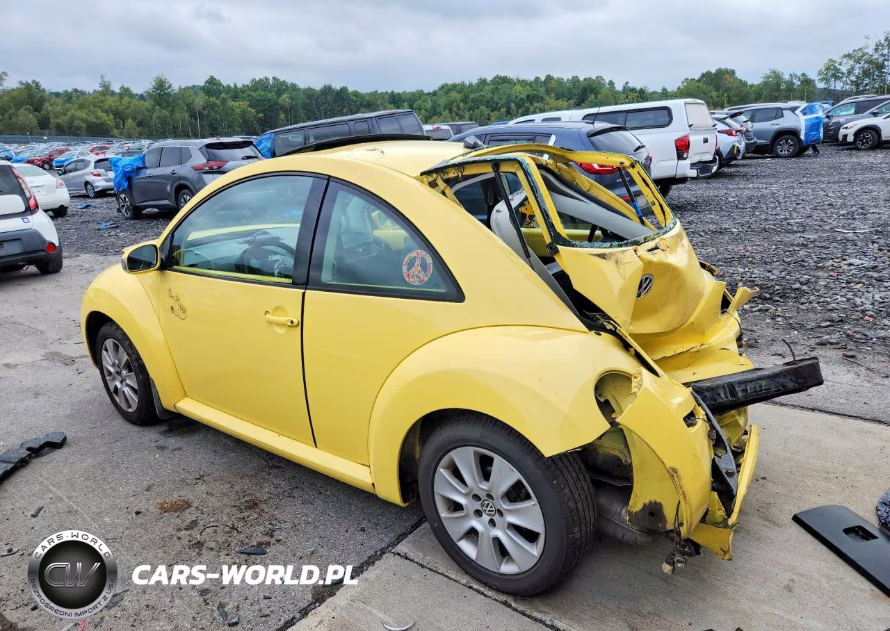 2008 Volkswagen New Beetle S VIN:3VWRG31C68M505981 - 2