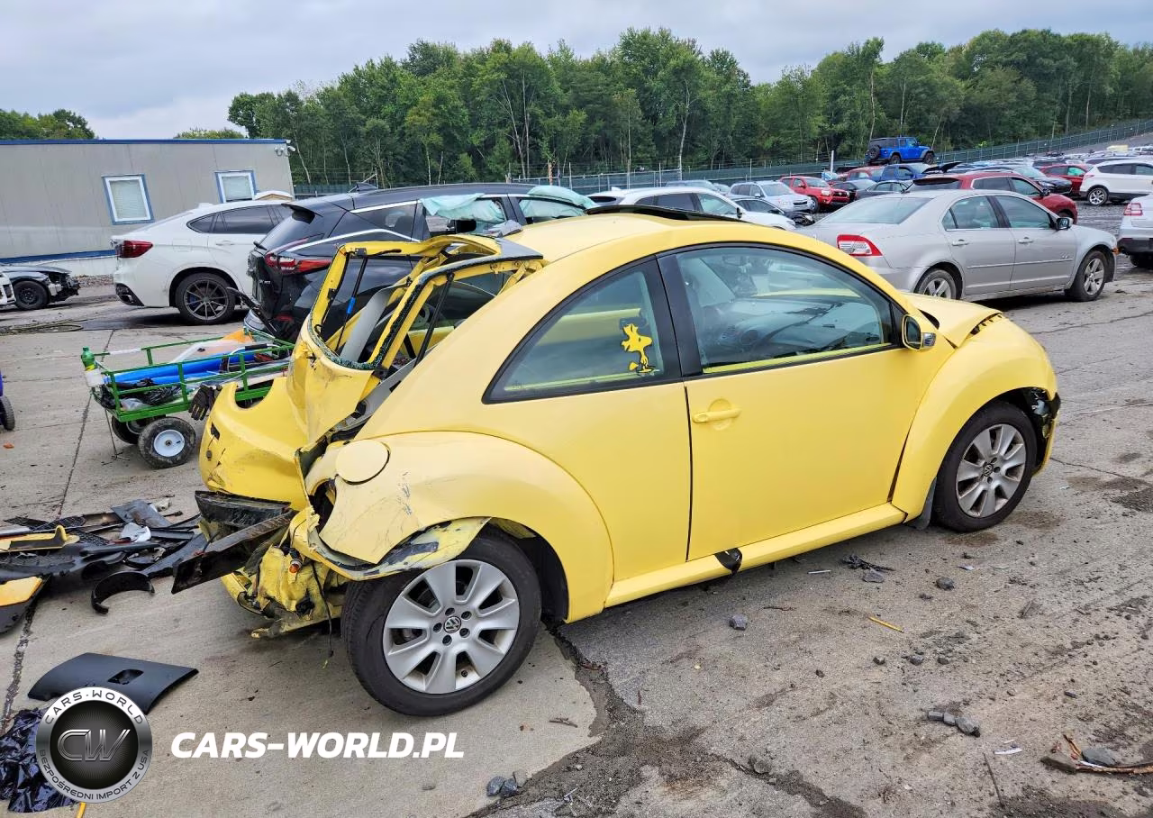 2008 Volkswagen New Beetle S VIN:3VWRG31C68M505981 - 3