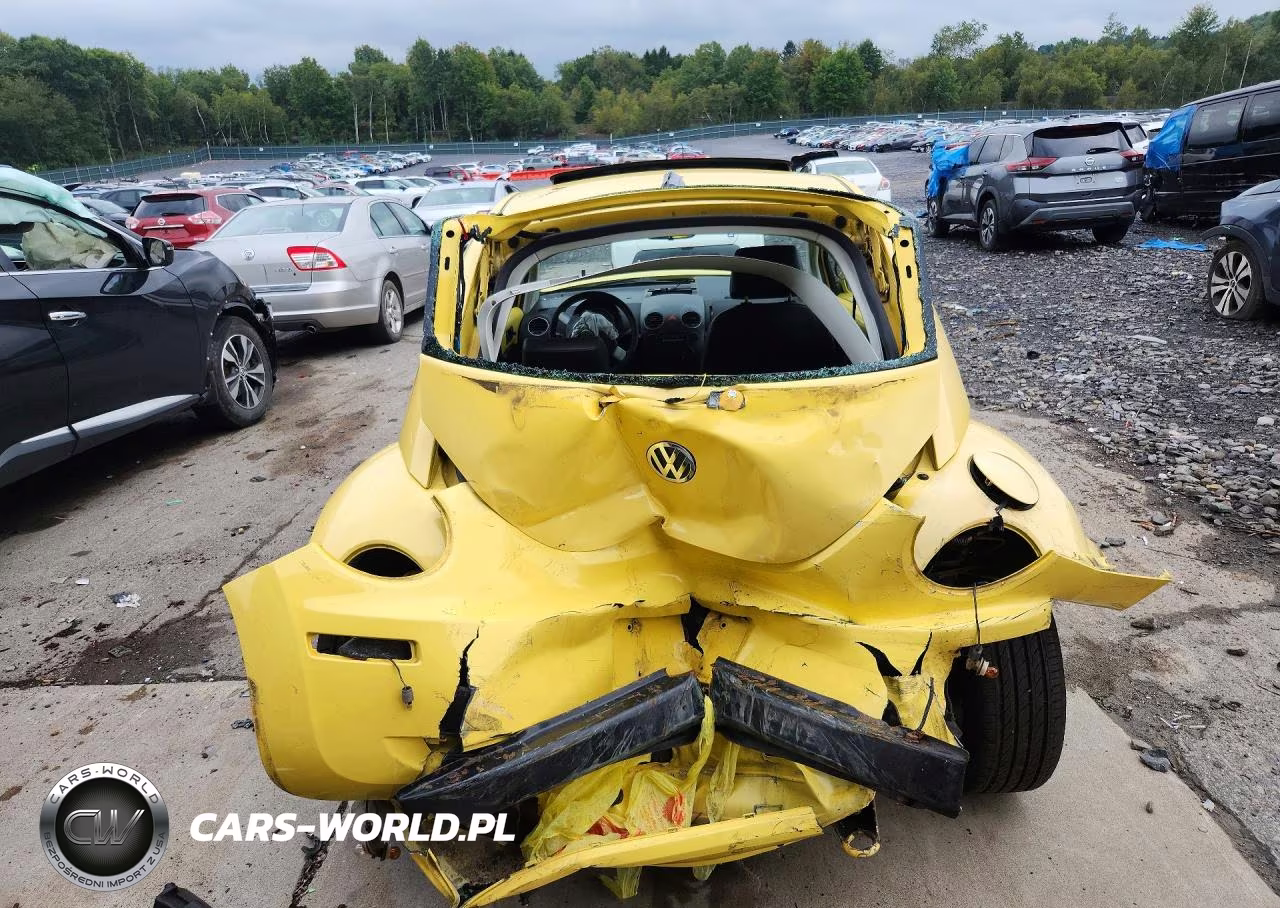 2008 Volkswagen New Beetle S VIN:3VWRG31C68M505981 - 6