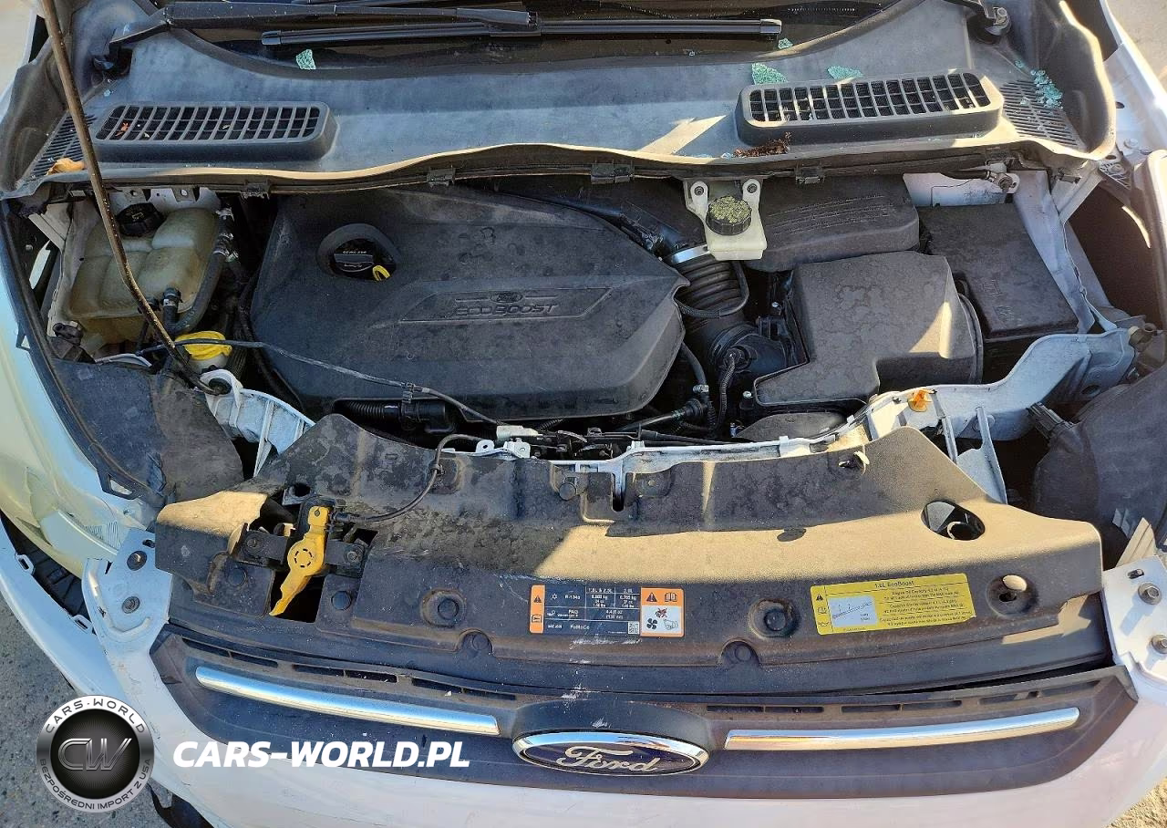 2014 Ford Escape Se VIN:1FMCU0GX0EUA50302 - 11