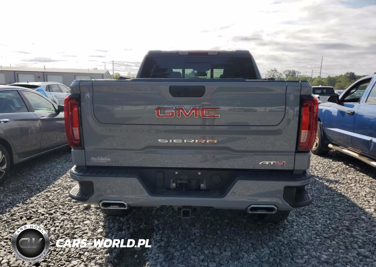 2024 GMC Sierra K1500 At4 VIN:1GTUUEE85RZ274935 - 6