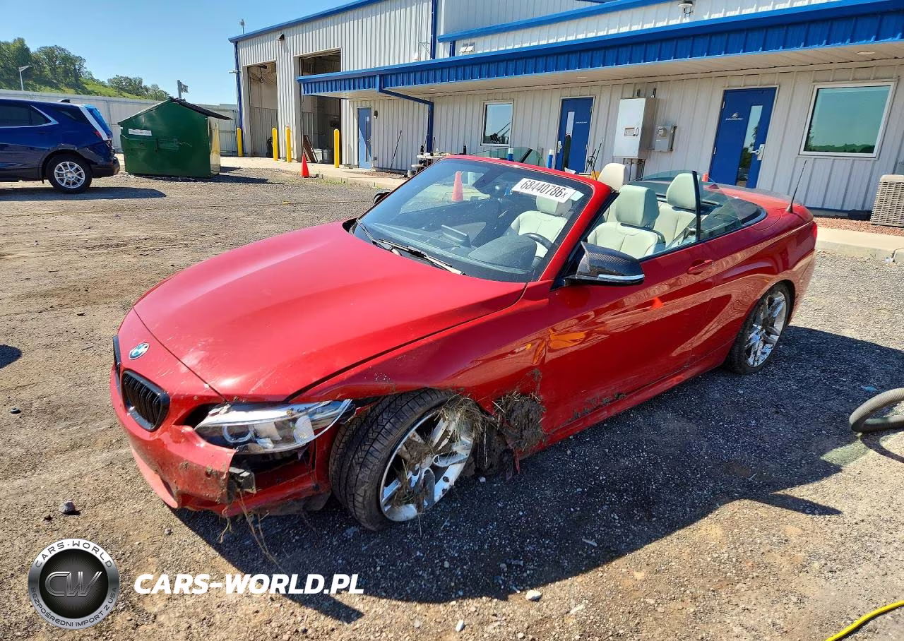 2016 BMW 228 Xi Sulev VIN:WBA1L9C52GV325623 - 1